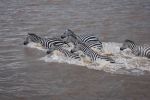 53. masai mara.JPG